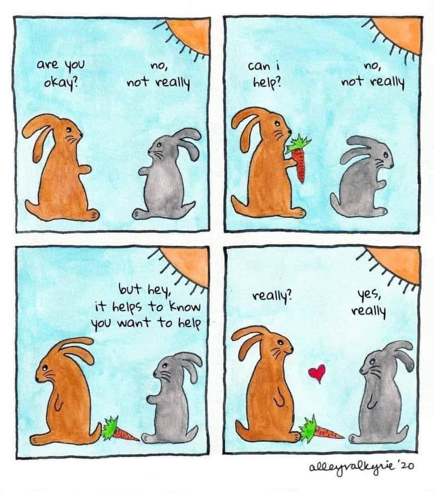 Rochelle Taylor tweet media