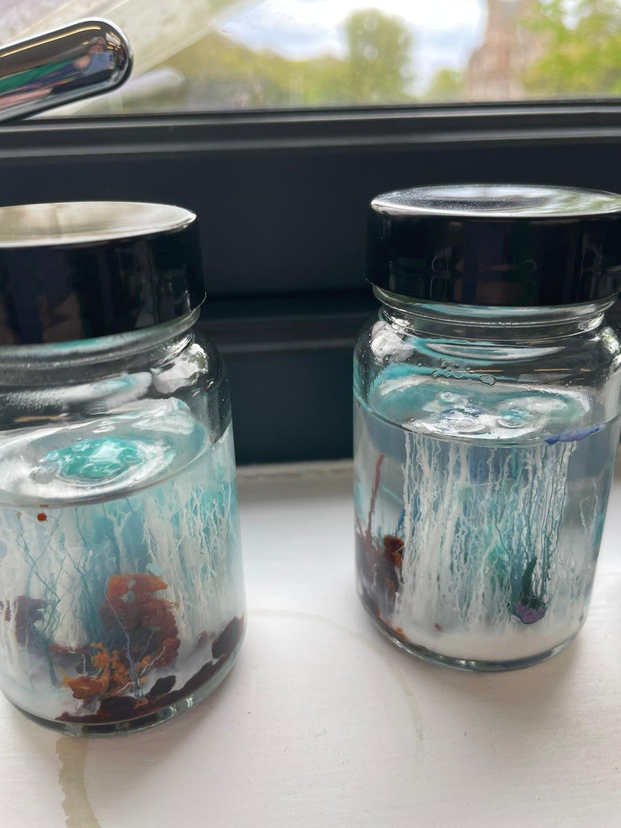 S2 have been creating crystal gardens with Dr Simmonds. The colours look amazing 😍