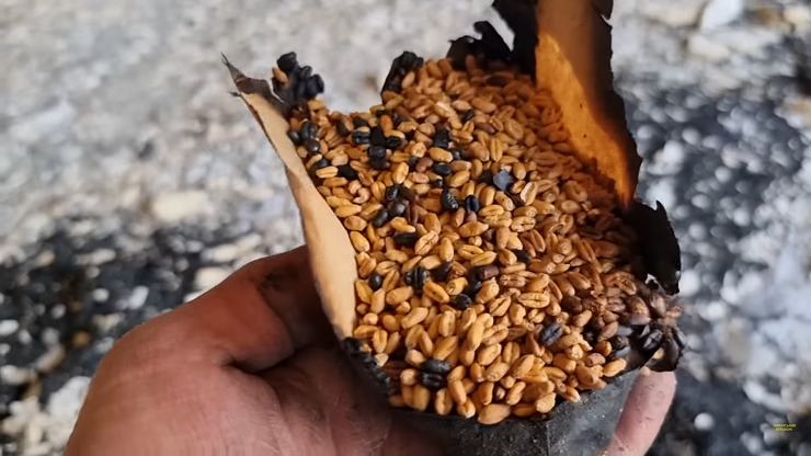 khodorkovsky_en's tweet image. One of world’s largest, the 🇺🇦's only plant gene bank (established 1908) in Kharkiv was destroyed by the 🇷🇺 army 
The bank kept 160K+ varieties of plant seeds &amp;amp; hybrids of agricultural crops worldwide, for future generations to be able to restore them
More:theins.ru/en/news/251319