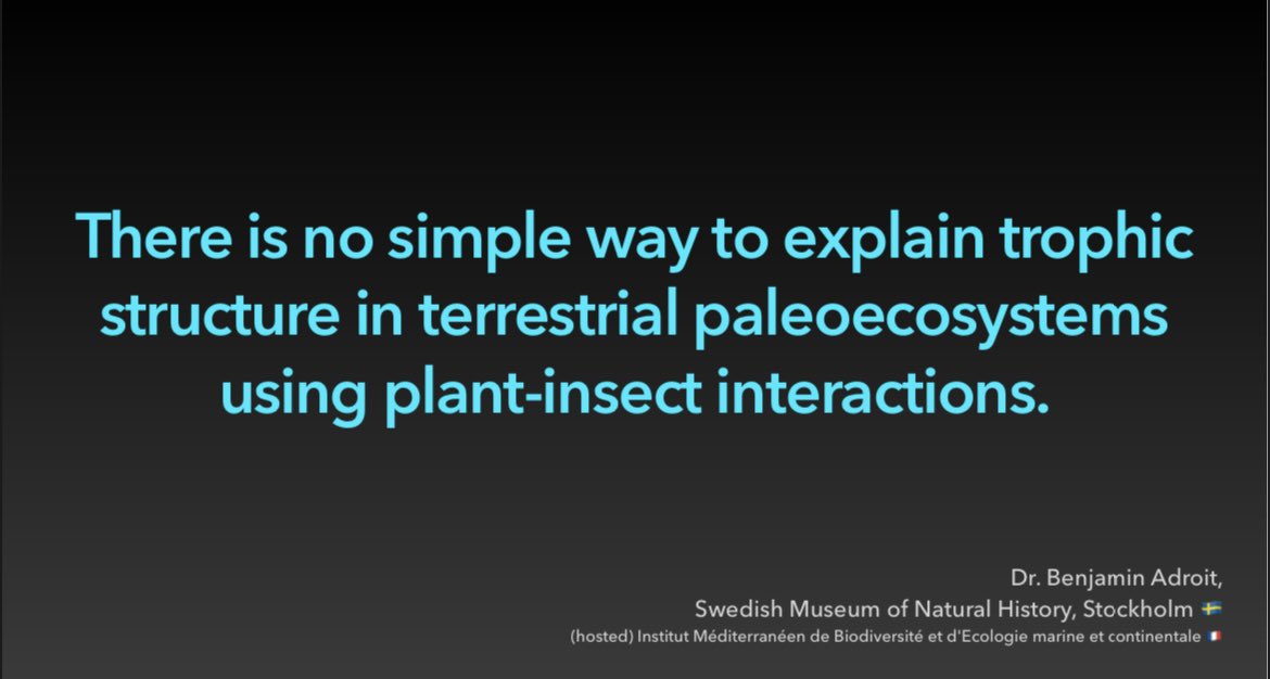 BenjaminAdroit's tweet photo. 🗣
« There is no simple way to explain trophic structure in terrestrial paleoecosystems using plant-insect interactions »

Tomorrow 
Datz-Symposium: Plant-insect interactions in #Dresden 
Organized by these nice researchers @CMplantinsects
 @AgatheToumoulin 
@dmantzouka https://t.co/ef3efLigV9