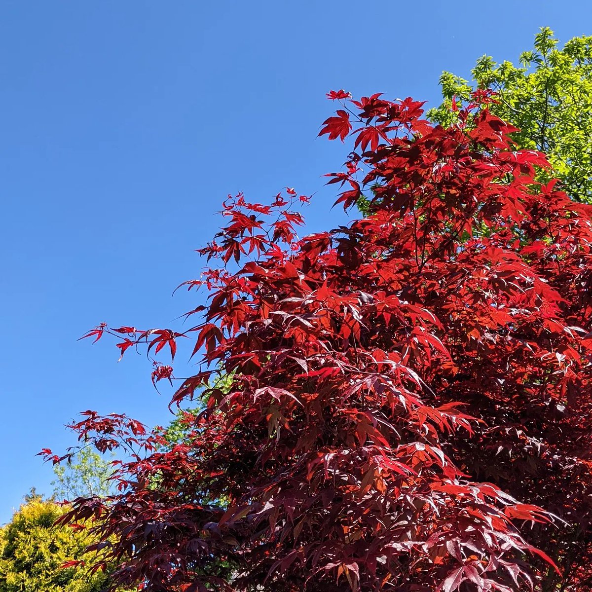 maddybennettart's tweet photo. Vibrant spring colours!

📸 https://t.co/E2FuoKp3e3 via https://t.co/QfbkuqgJZP https://t.co/XFmHoCG1rC