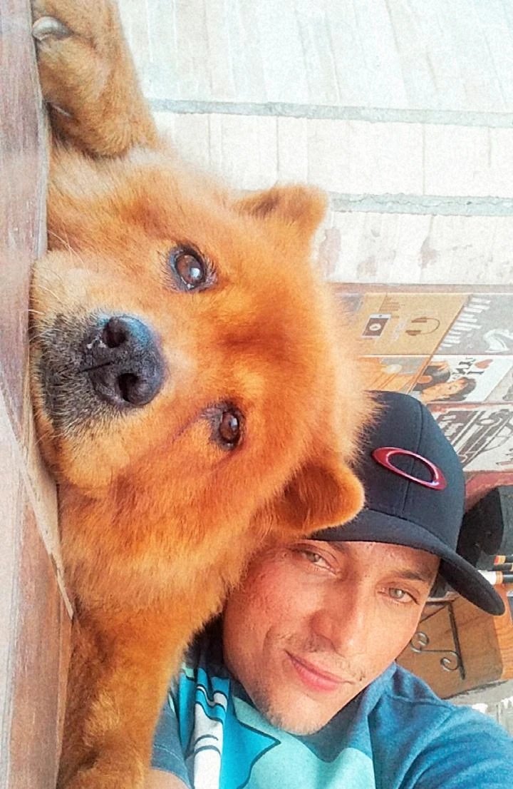 JohnErick061's tweet photo. Muito meu amor ela 😍😍
#chowchow #doog #Brazil https://t.co/oFGwycrNt1