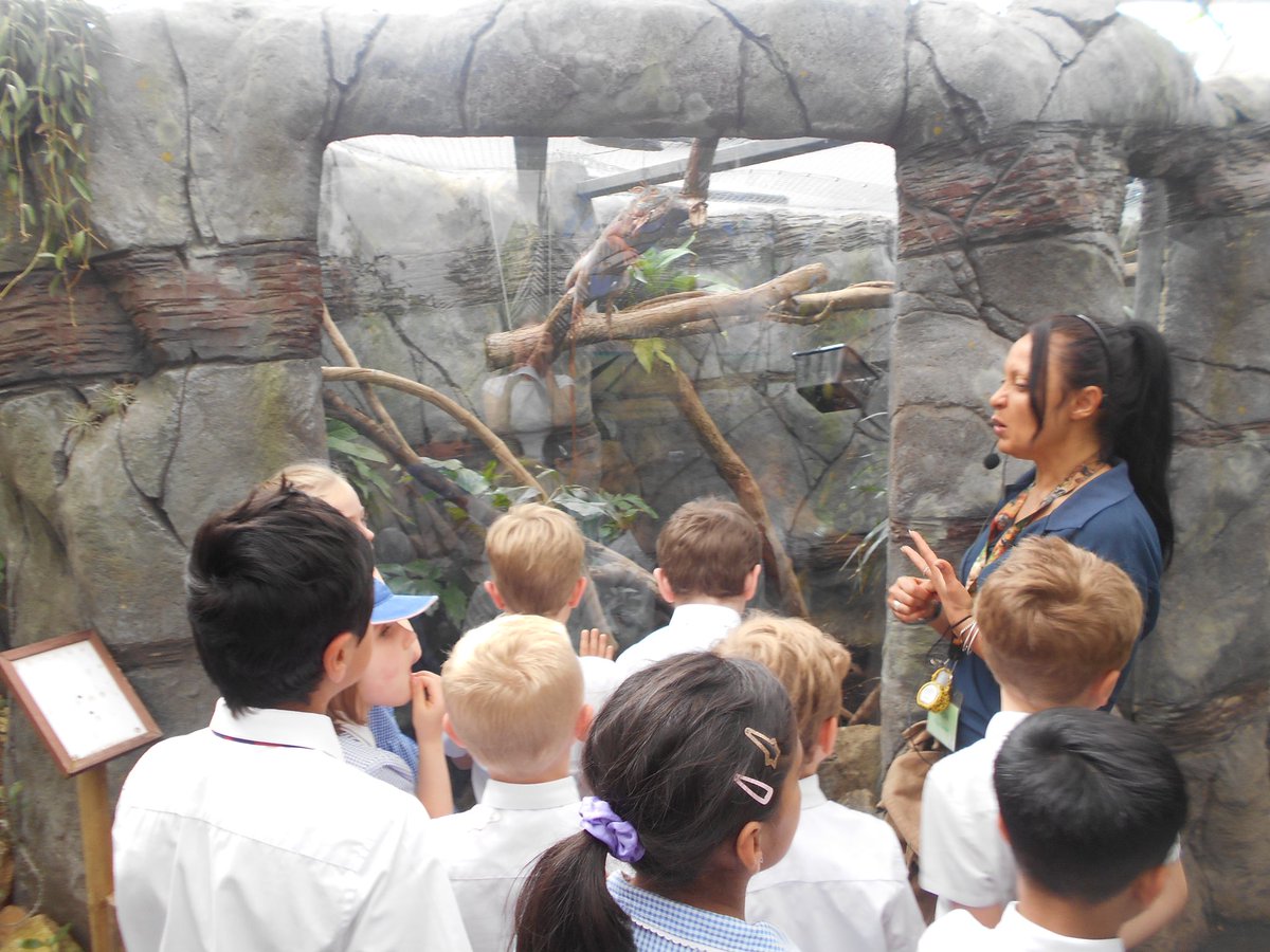 sonningprimary's tweet photo. Year 1 went on their first ever school trip and what an adventure it was! They became jungle explorers at the Living Rainforest, channelling their inner Darwin, to investigate mammals, reptiles, fish, birds and amphibians. #BeechClass https://t.co/YuvNeaiQ99