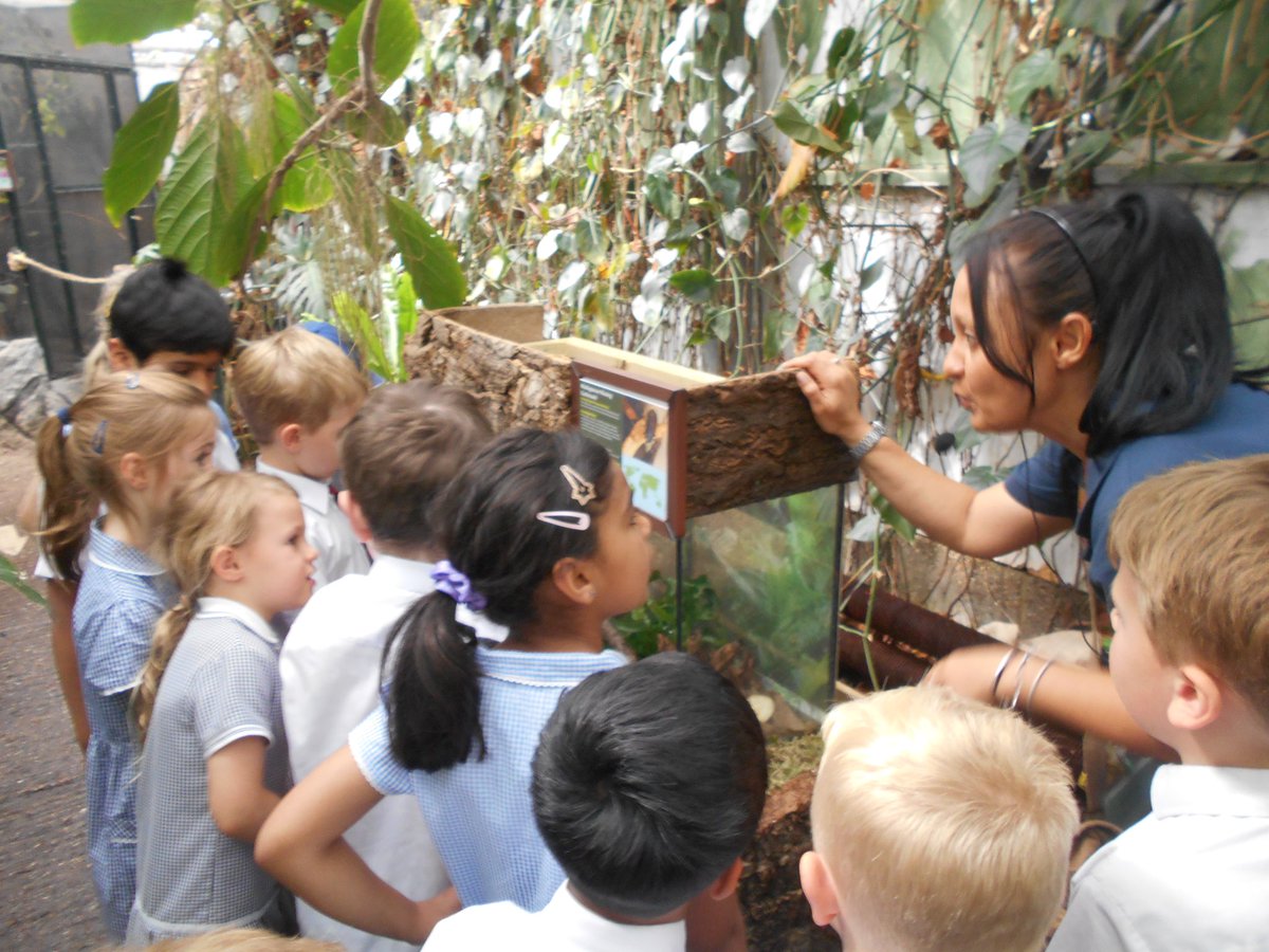 sonningprimary's tweet photo. Year 1 went on their first ever school trip and what an adventure it was! They became jungle explorers at the Living Rainforest, channelling their inner Darwin, to investigate mammals, reptiles, fish, birds and amphibians. #BeechClass https://t.co/YuvNeaiQ99