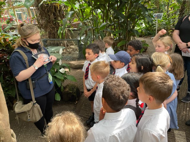 sonningprimary's tweet photo. Year 1 went on their first ever school trip and what an adventure it was! They became jungle explorers at the Living Rainforest, channelling their inner Darwin, to investigate mammals, reptiles, fish, birds and amphibians. #BeechClass https://t.co/YuvNeaiQ99