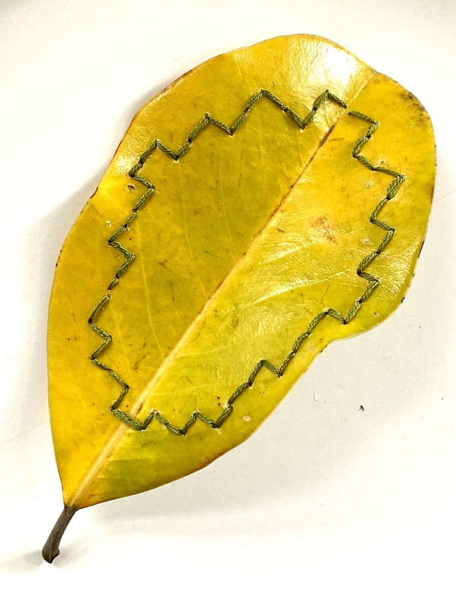lloydcrew's tweet photo. Daily #turtlestitch I finished @jadga_hโs tutorial on creating pixel graphics in TurtleStitch and wanted to prototype something. W/out graph paper handy, I picked up materials on a run and hand stitched a design. The feel and smell of the leaf brings you right back to your roots. https://t.co/hZQBZ8rOWo