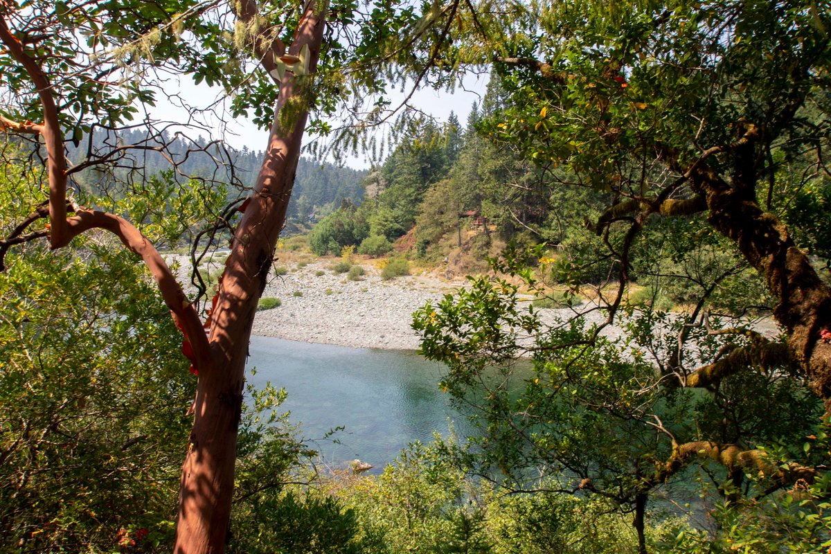 PhotoTjv's tweet photo. Smith River

(Jedediah Smith Redwoods State Park, Crescent City, California, August 2018)

#photography #landscapephotography #naturephotography #nature #river #SmithRiver #JedediahSmithRedwoodsStatePark #CaliforniaRedwoods #California https://t.co/pO8FuJkbwl