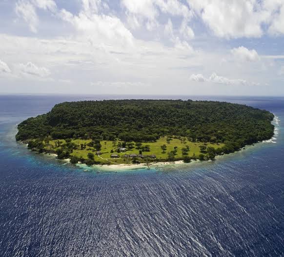 🏖️ GIVEAWAY 💵

Beğendiğim ve sizlere Flood ile anlatmış olduğum Satoshi Island'ın ÜCRETSİZ mint edilecek Vatandaşlık NFT'leri için 3 WL ayarladım ve çok mutluyum 🤗

-  <a href="/HeathleyETH/">Heathley ⚔️</a> &amp; <a href="/satoshiisland/">Satoshi Island</a> Takip Et ✅
- Retweet 🔁 ve 2 Arkadaş Etiketle 💥

⏳ 24 Saat sonunda açıklanır.