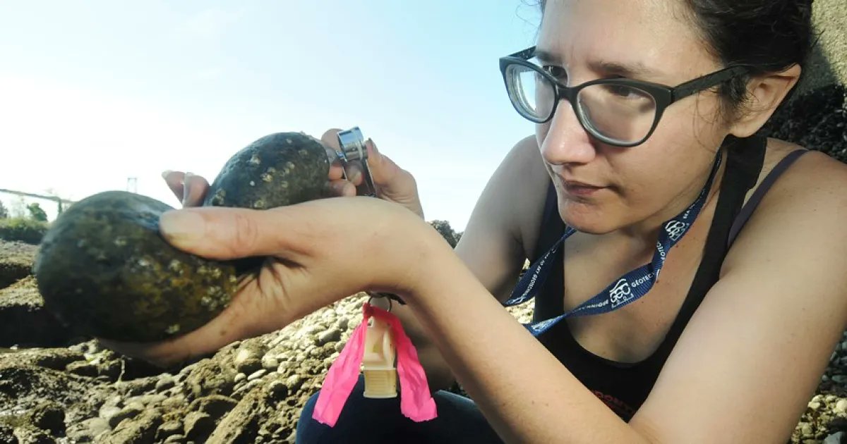 SETIInstitute's tweet photo. PODCAST: https://t.co/YuMAHmqIhA
@BlueDotNSPR host @DaveSchlom is joined by Canadian geophysicist and fellow science communicator @mikamckinnon to talk about their mutual passion for the Earth Sciences, especially geology! https://t.co/d3UgLapCDW