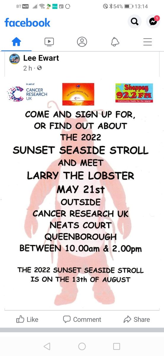 SUNSETSEASIDESTROLL tweet media