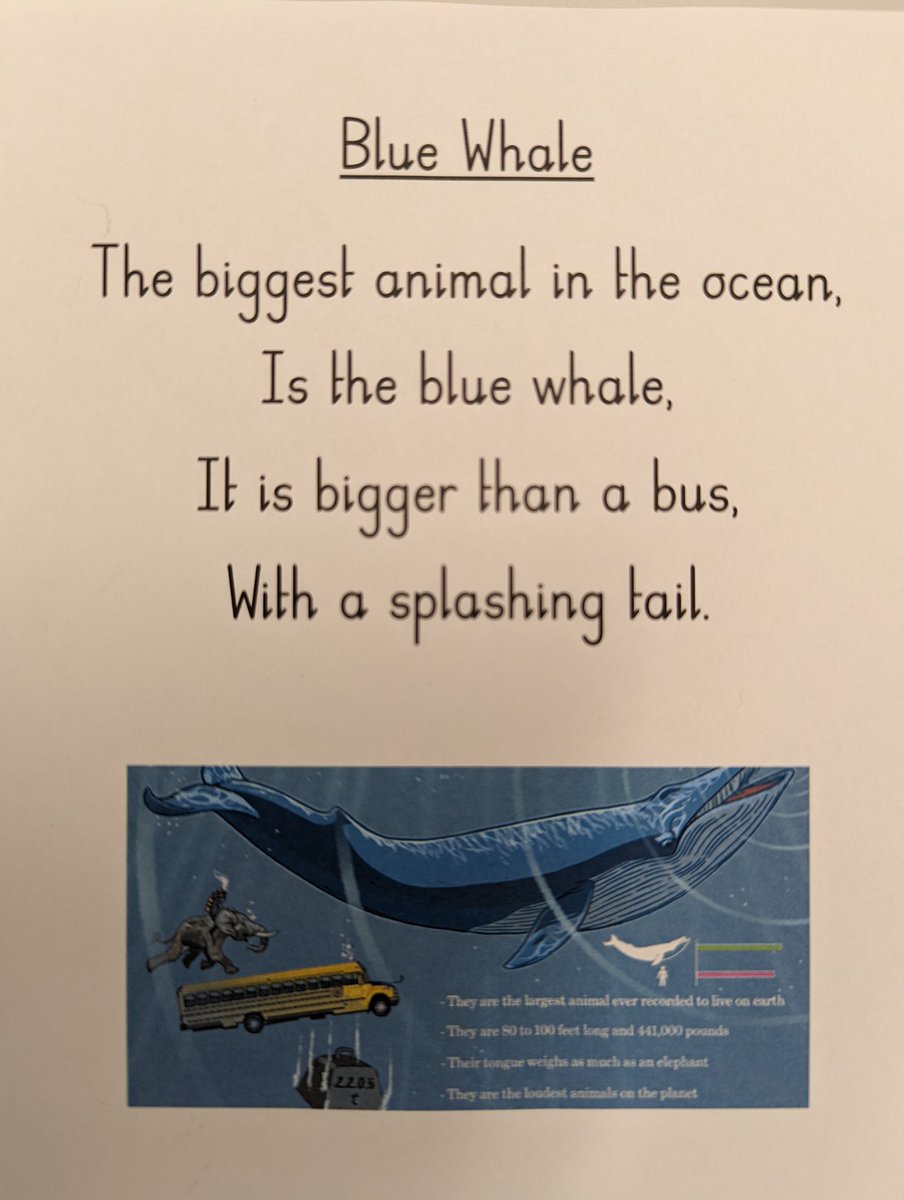 StonehamAcademy's tweet photo. Reception have been loving their key text this week 'Commotion in the Ocean'. 🦈🐳🐢

As a class we made our own rhyming poems about some sea creatures. Aren't they fantastic? A great activity that even inspired some impressive independent writing! 

#eyfs #bookworms #poetry https://t.co/7IeRZ7iADk