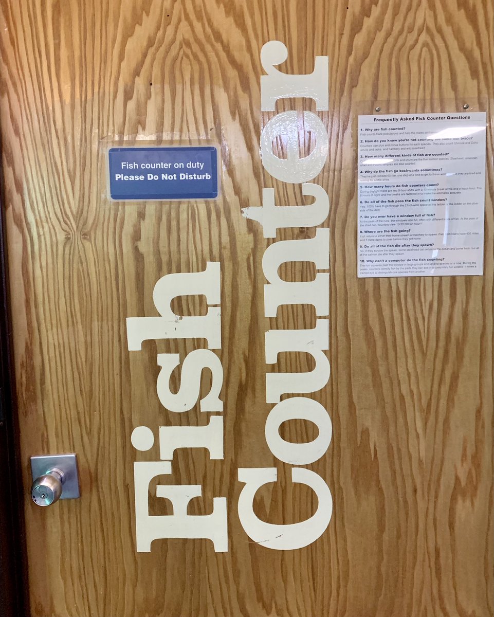 MelissaJeanSays's tweet photo. There’s more than one type of fish counter folks and some cannot be disturbed. #donotdisturb #fishcounter #fishladder #bonnevilledam https://t.co/tJKPPDEjKV