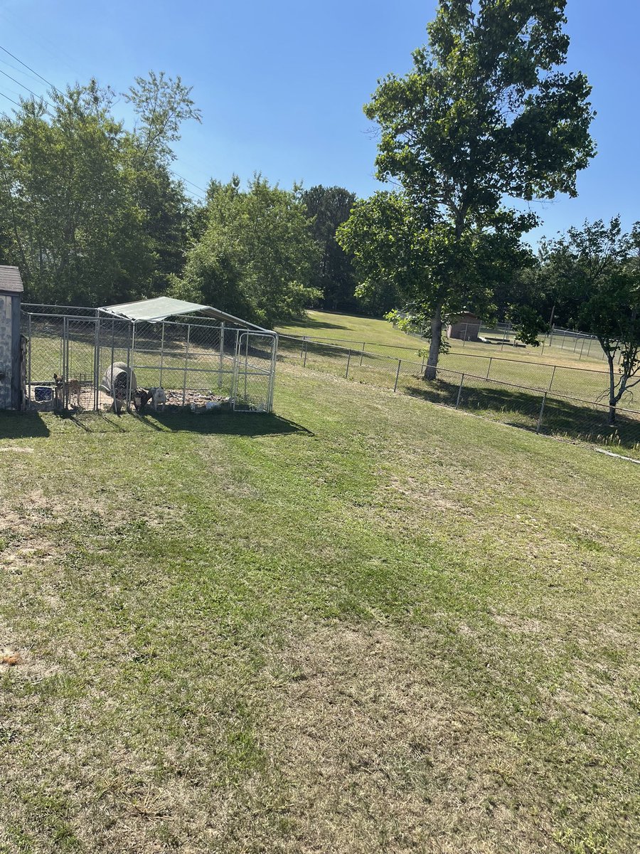 These NIL deals ain’t hitting yet so in the meanwhile hmu if you need your yard cut😂💯