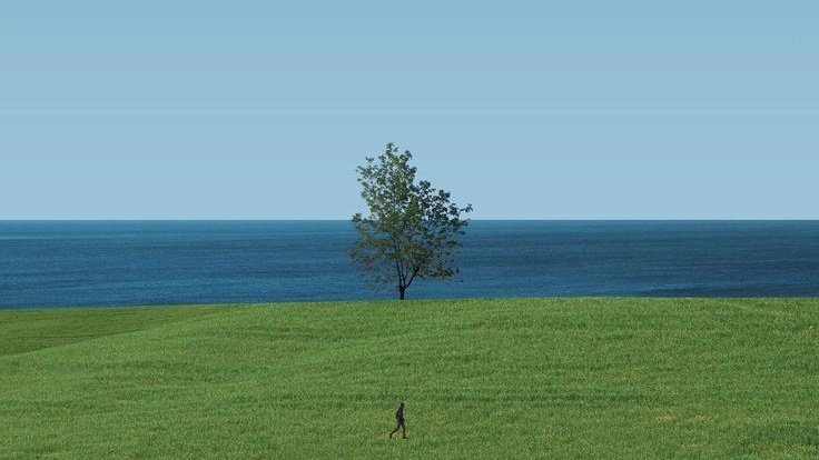 moodyonmoon's tweet photo. Solitude https://t.co/Mqcub2pj5R