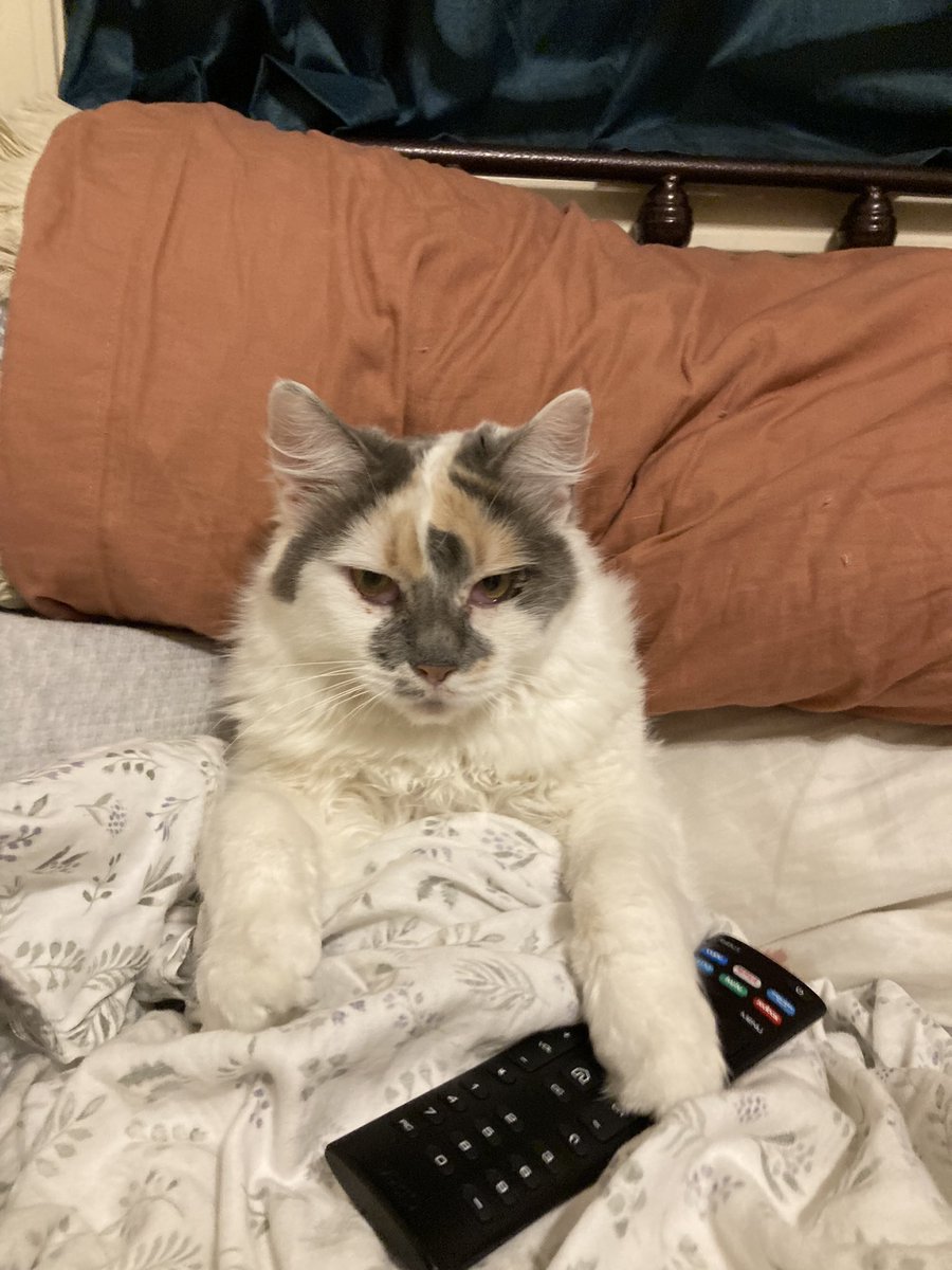 sugar needed the day off