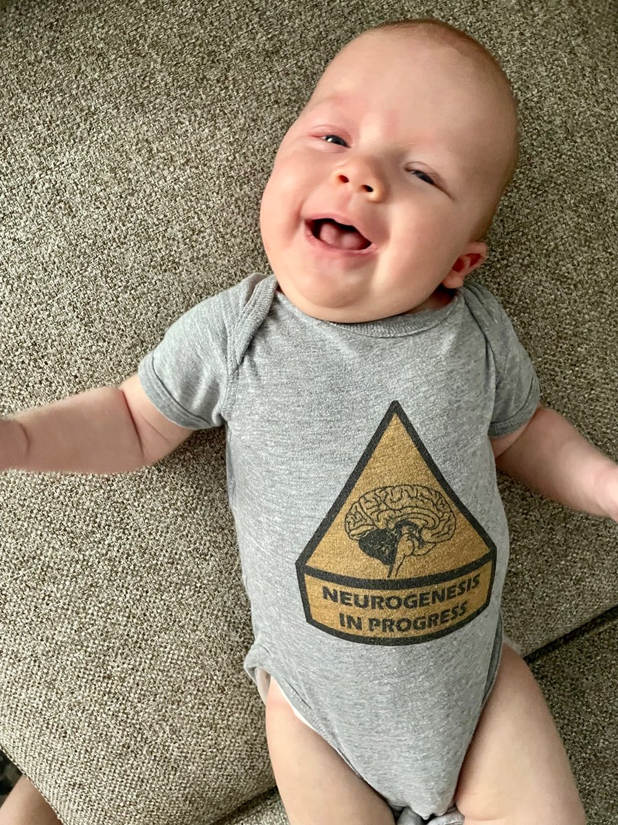 laura_geben's tweet photo. I’m back in the lab after a wonderful maternity leave! Our daughter, Adriana Maria, is clearly as excited about neural stem cells as I am. 😉 Thanks to my awesome PI @IhrieLab for the onesie &amp; being so supportive of women &amp; families! Time to finish my thesis project! https://t.co/FOga23NFGS