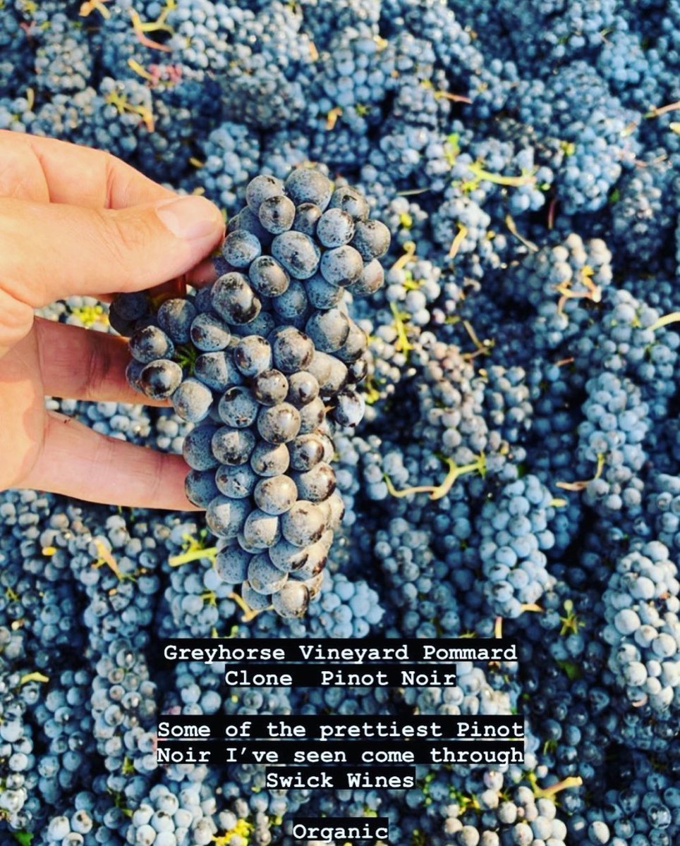 Swick_Wines's tweet photo. NEW! Pinot Noir — our love letter to the PNW 💌 - https://t.co/xbXQmhjl7s https://t.co/8AhkP8hJ8J