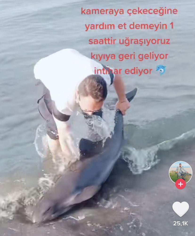 chocolamino's tweet photo. Seni cok iyi anlıyorum. https://t.co/HJpmmsUwyW