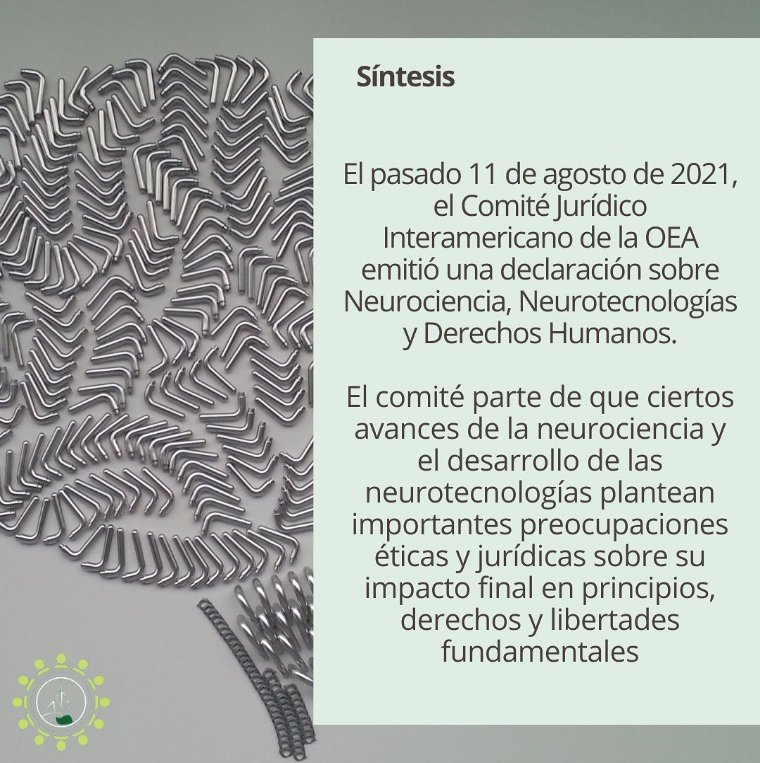 NeuroRightsExt's tweet photo. El pasado 11 de agosto de 2021, fue aprobada por unanimidad por los miembros del Comité Jurídico Interamericano de la OEA la “Declaración del Comité Jurídico Interamericano sobre Neurociencia, Neurotecnologías y Derechos Humanos" #NeuroRights #NeuroDerechos https://t.co/XCKn0EtlGi