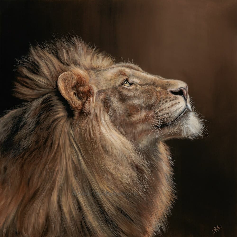 Can't believe it's been over a year since I completed this painting! Think you'd well always be one of my favourites!! 

'John I: Into The Light', oil on board, 20 x 20'

#bigcat #bigcatsofinstagram #lion #lionking #lionsofinstagram #lionart #lionpainting #artforsale #buyart #art
