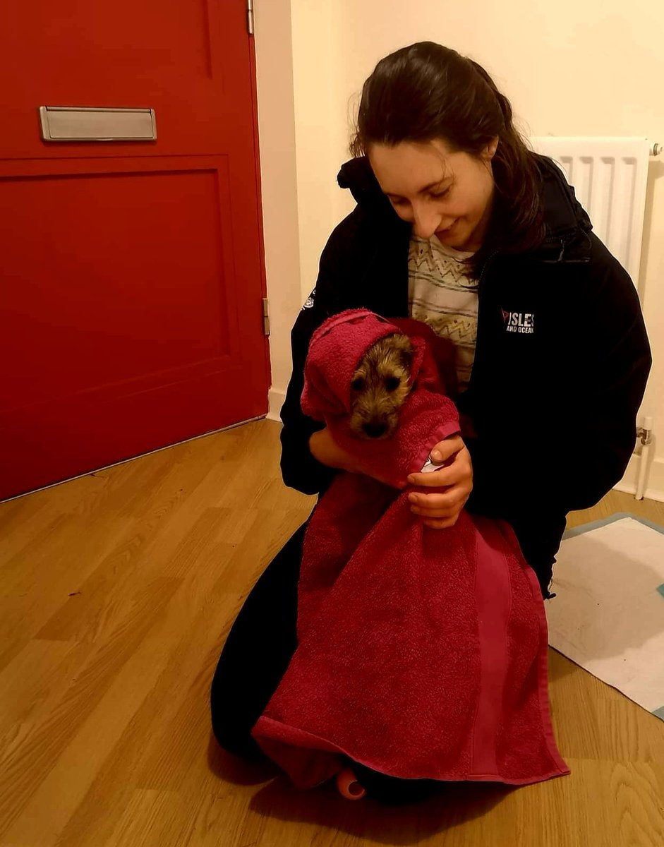 Diorbhail's tweet photo. @OurIslesOceans @RegattaOutdoors jacket is equally good for rainy dog walks https://t.co/2hVGVEhX8V