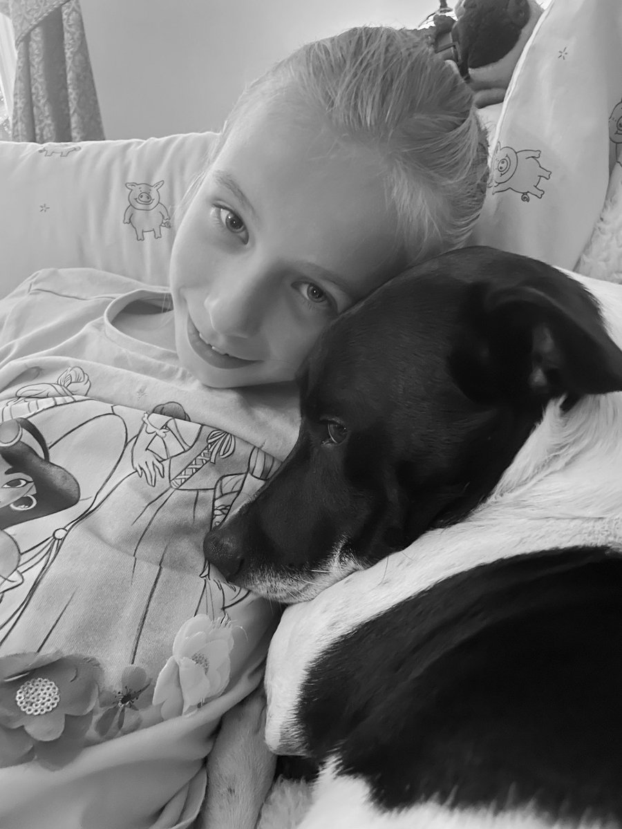 Natalie Howes 🏴󠁧󠁢󠁥󠁮󠁧󠁿 💙 🇺🇸 tweet media