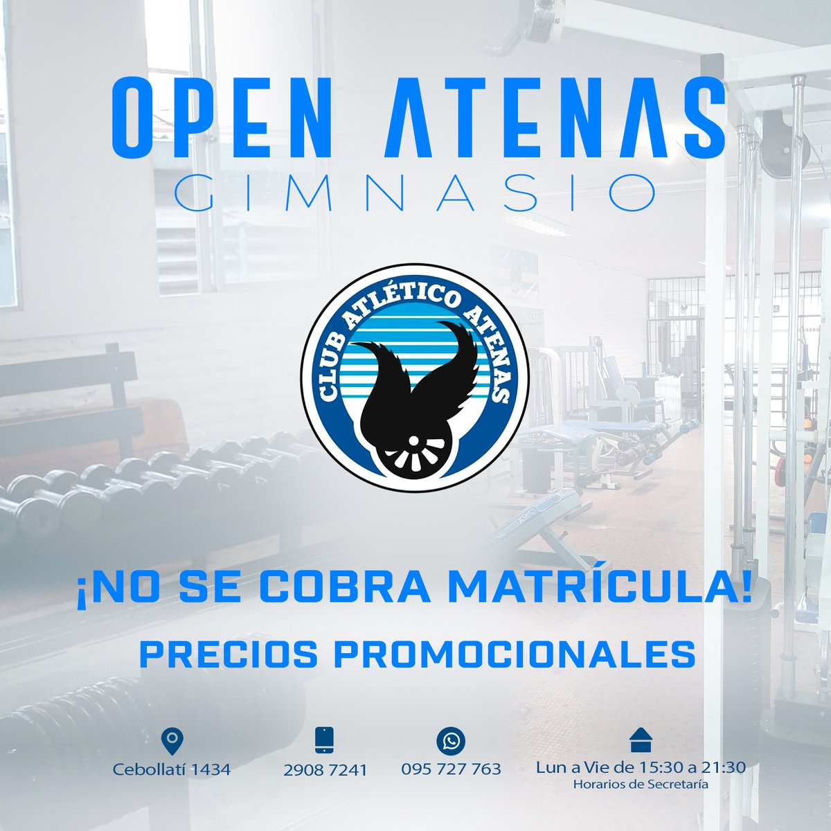 🔹🔹OPEN ATENAS 🔹🔹

Atenas incorpora una nueva sala de aparatos para ampliar su oferta de actividades.

Por más información
📍Cebollatí 1434
📞2908 7241 📱095 727 763
📇 Secretaría - Lunes a viernes de 15:30 a 21:30

⚪🔵 LEVANTA LAS ALAS UN NUEVO ATENAS ⚪🔵