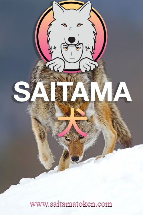 SAITAMA Türkiye (Official) (@saitamaturkiye) on Twitter photo 