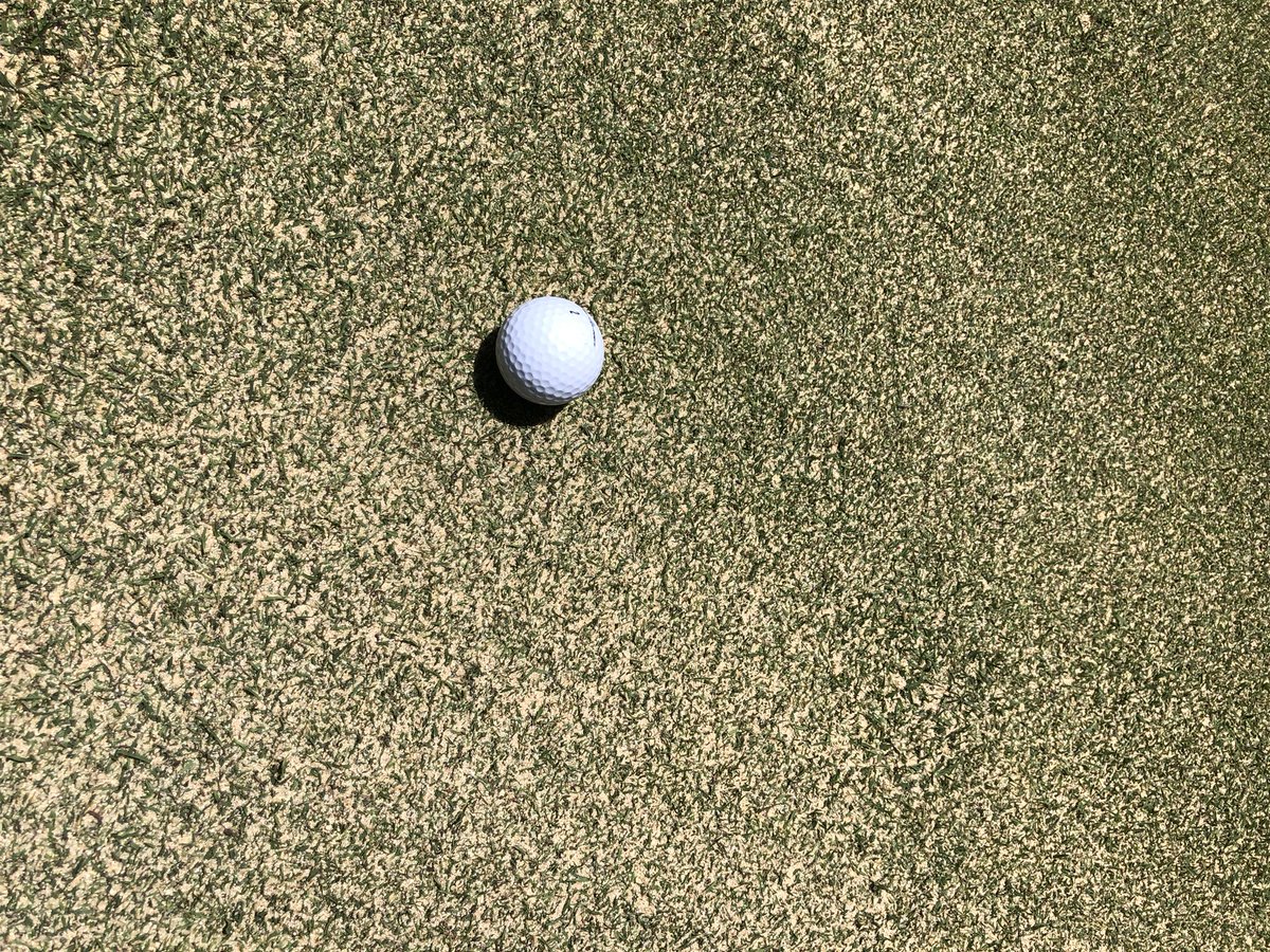 BCGCSuper's tweet photo. Top dressing greens today https://t.co/KWOzuwebxx