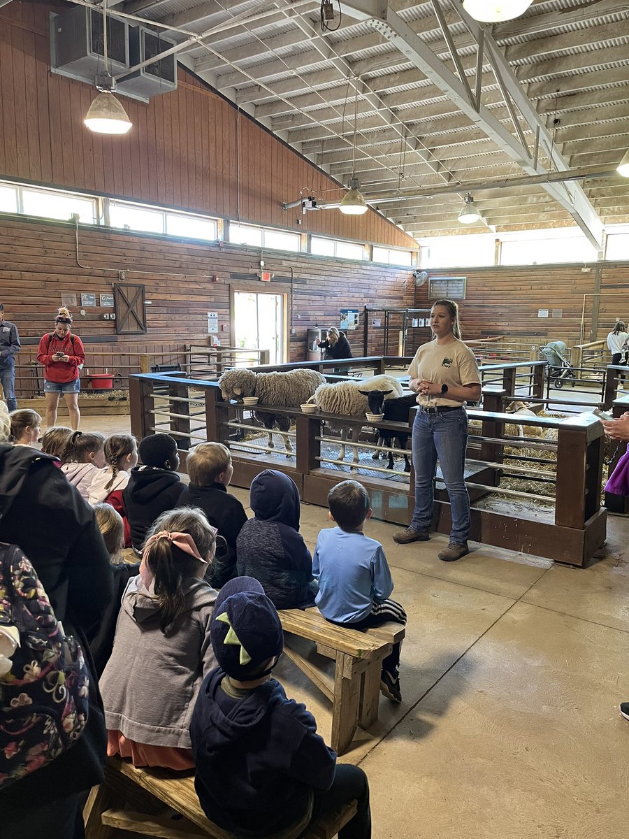 MrsMaheuKdg's tweet photo. We learned a lot and had a great visit to Lake Farm Park today!🐑🐄🐖❤️ @ChardonSchools #TinyToppers #WeAreChardon https://t.co/jiRqkhL3kj