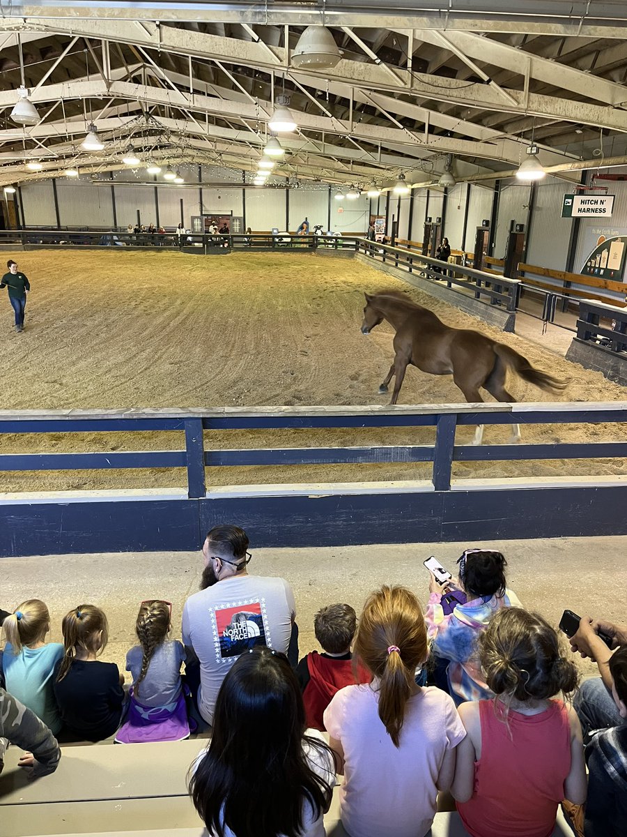 MrsMaheuKdg's tweet photo. We learned a lot and had a great visit to Lake Farm Park today!🐑🐄🐖❤️ @ChardonSchools #TinyToppers #WeAreChardon https://t.co/jiRqkhL3kj