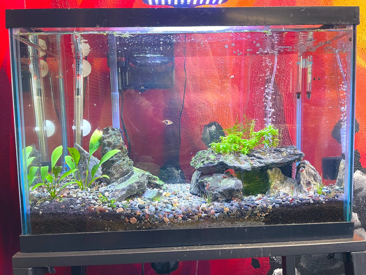 How many fish tanks does your school have?