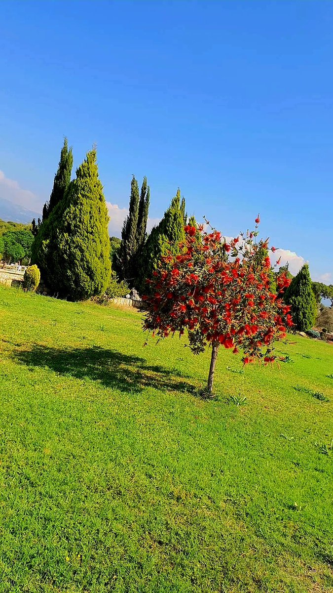 sy_jauregui's tweet photo. GREEN IS THE COLOUR OF LIVING 🍀💚💚
#leaf #pink #tation #red #beauty #sunset #instagram #forest #spring #beautiful #grass #instadaily #happy #fashion #like #smile #plants #travelphotography #outside #field #photographer #clouds #sky #plant #naturallandscape #tree https://t.co/miv6fGqEaJ