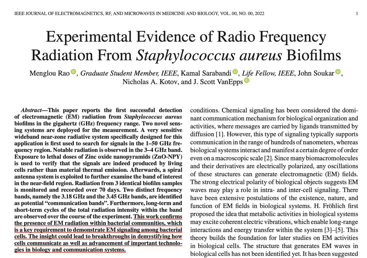 MicrowaveNews's tweet photo. “Although it has long been suggested that biological cells may transmit &amp; receive EM waves, no prior convincing experimental evidence has been generated to support this hypothesis.”
Fascinating work @UMich funded by @DARPA RadioBio Program
https://t.co/LDYElmaxuL
h/t @berkeleyprc https://t.co/dRuKIVElQj