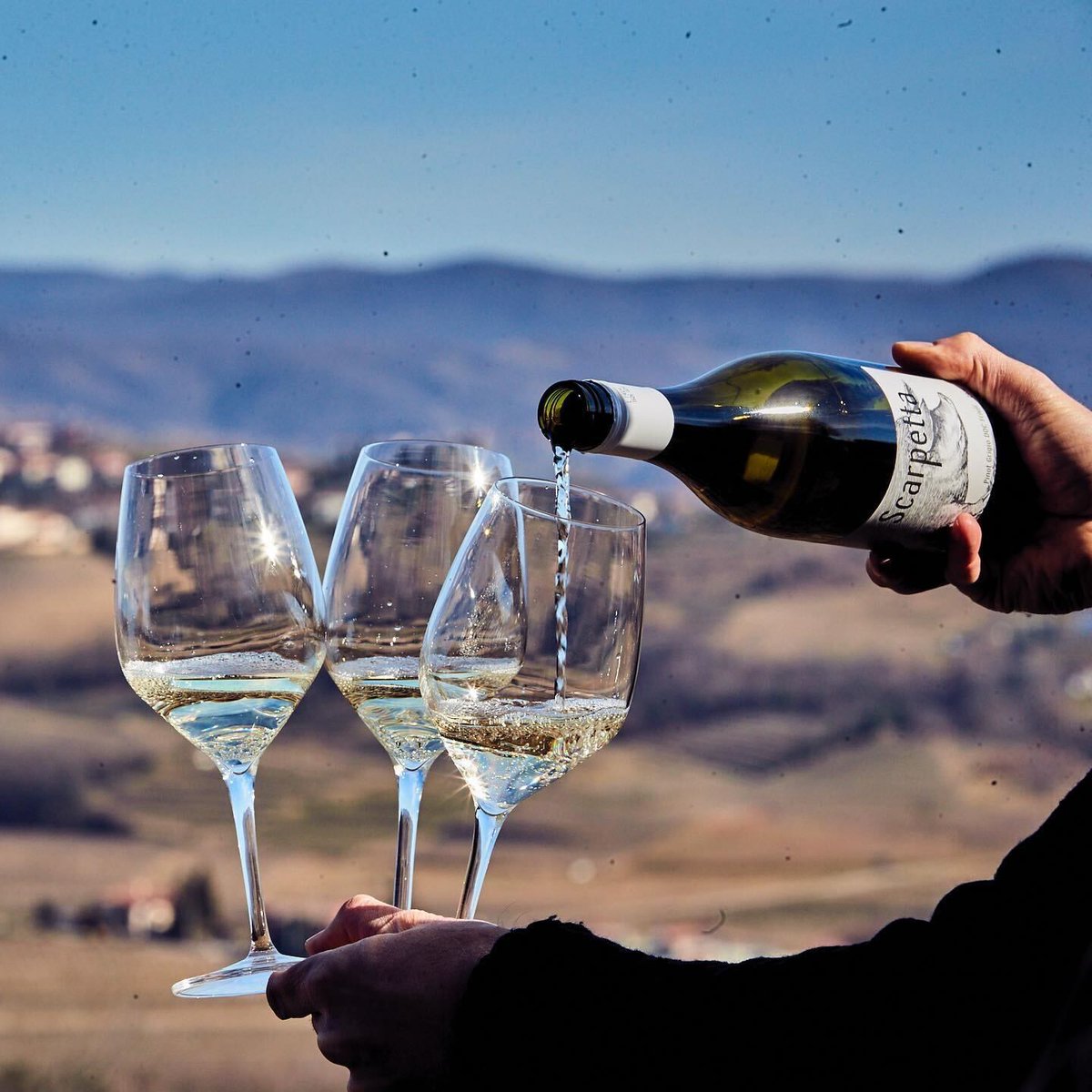 Today is Pinot Grigio Day! 🥂 Raise a glass, or three...

From Northern Italy to Alsace, and from Australia and Oregon––we’ve searched high and low to bring you 12 of the world’s most exciting #PinotGrigio/#PinotGris wines 🌎. All under $30!

Click here: bit.ly/3yESJ0A