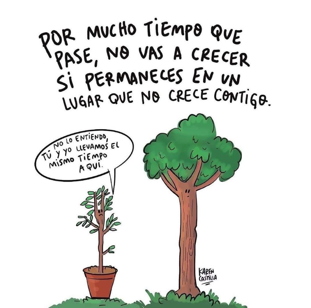 ale_CeballosRo's tweet photo. Información que cura 🫶🏻 https://t.co/5U7ZVPO6s3