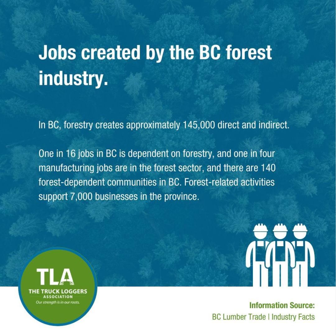 Resource_Works's tweet photo. .@truckloggerBC: Forests are fundamental to our economy – and to our future. Communities, families and individuals depend on forests for their livelihood and way of life. 🌲 #bcforestry https://t.co/pu6nyjC616