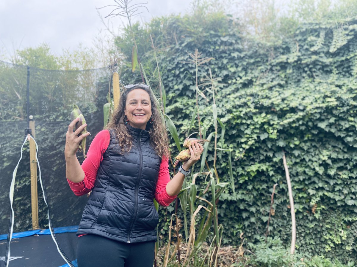 czambranob's tweet photo. Nuestra primera cosecha de choclo!!! #AgriculturaUrbana junto al saltarín y en el patio de nuestra casa. Se nos pasaron un poquito pero vamos aprendiendo!!! #AcciónClimática #climatemom #ClimateActionNow https://t.co/KXviWR62vp