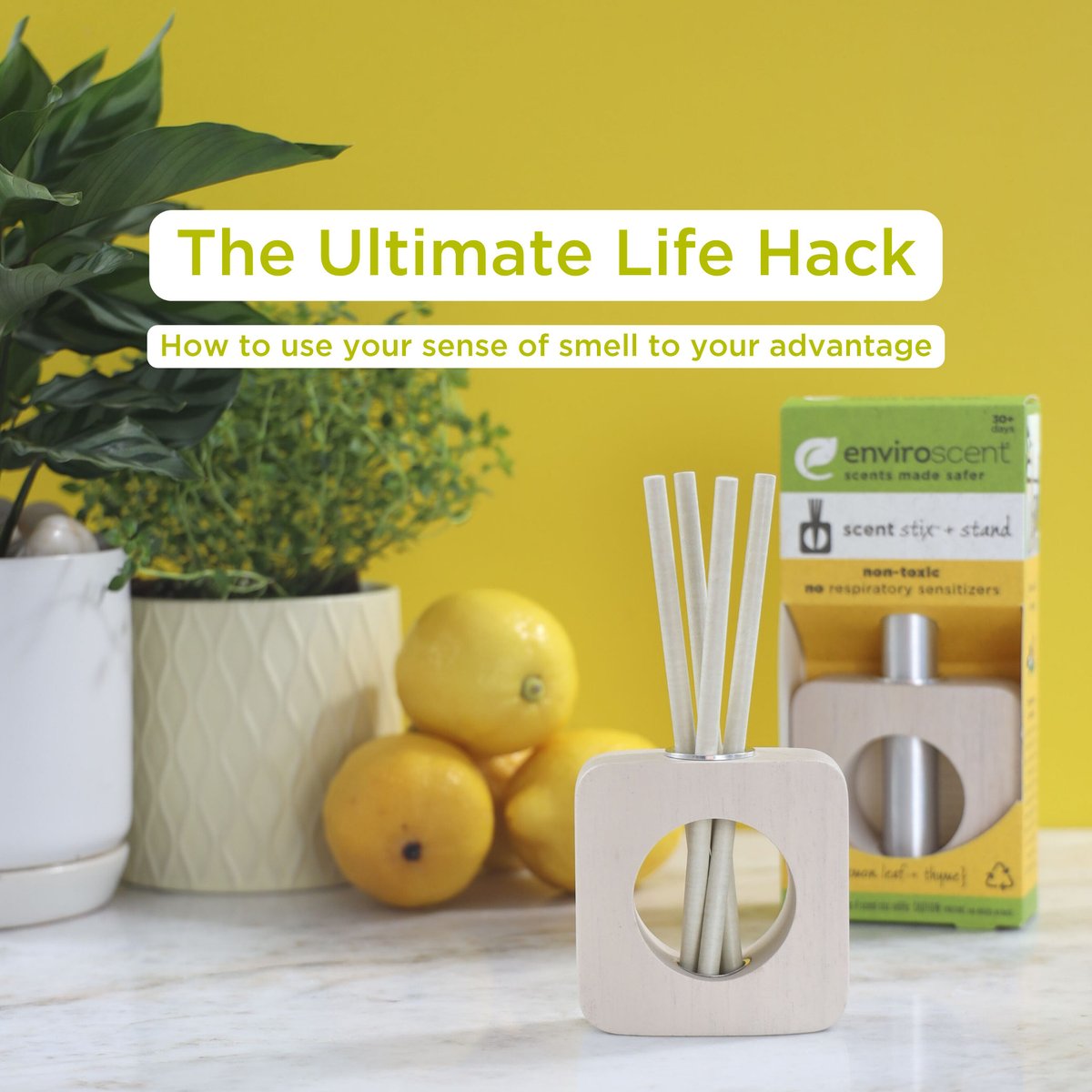 Enviroscent tweet media