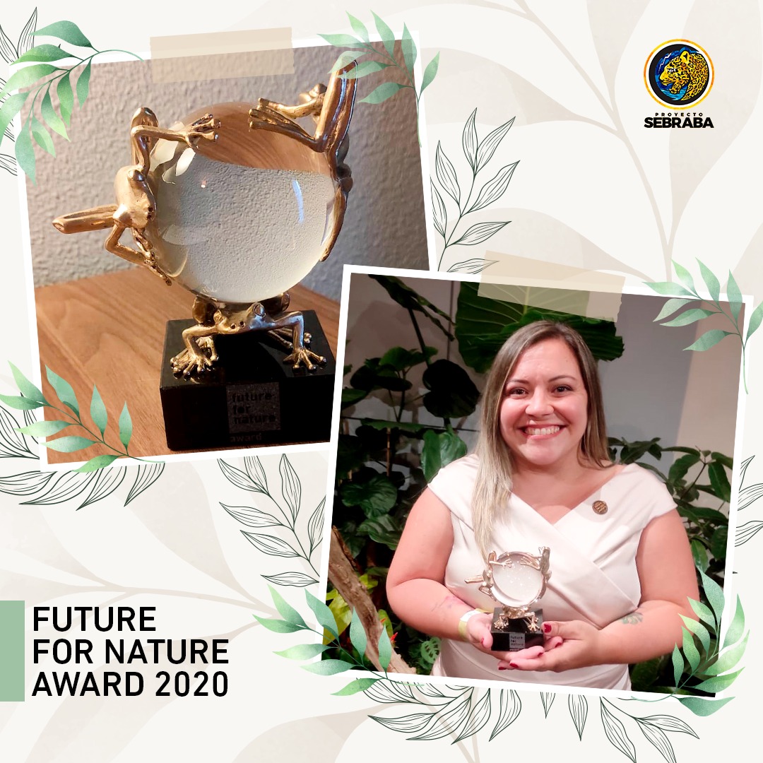 ProyectoSebraba's tweet photo. Todo el equipo de #ProyectoSebraba envía felicitaciones a nuestra directora @MariFPC por haber recibido el pasado 13/05, el galardón de @Futurefornature que ganó en 2020 por el trabajo de conservación del jaguar en Venezuela. La ceremonia se llevó a cabo en el @burgerszoo 👏🐆🇻🇪 https://t.co/i1gvc5CcnU