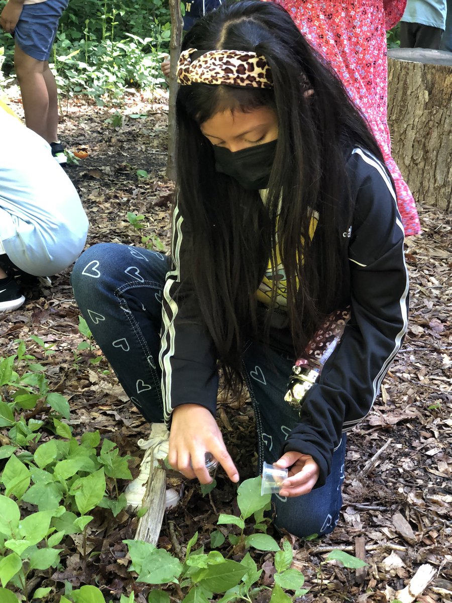 MsLaynesClass's tweet photo. Thank you Hidden Oaks Nature Center for a fun day learning about how animals change and grow. @FCPSR2 @FreedomHillES @fairfaxparks #fhhighlights https://t.co/A14GkW78v3