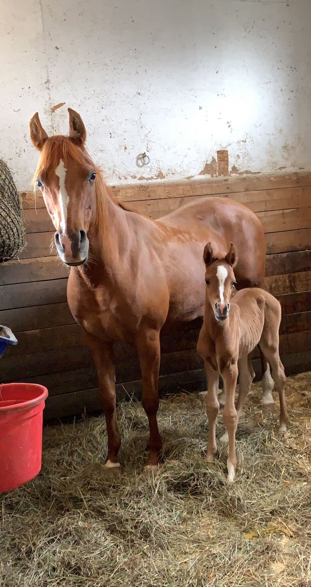 straight up not having a good time tweet media