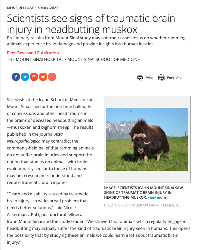 Patrick Campbell tweet media