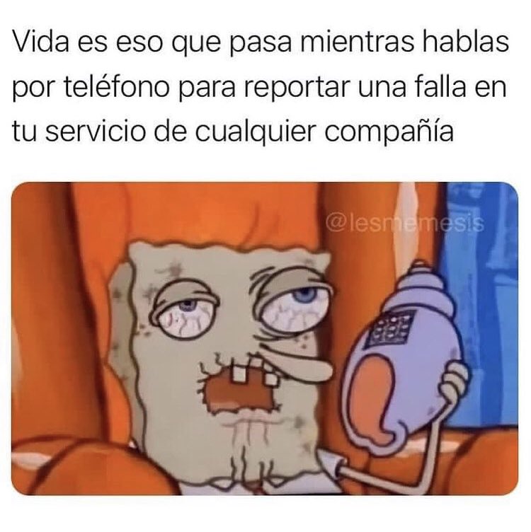 MauPatron tweet media