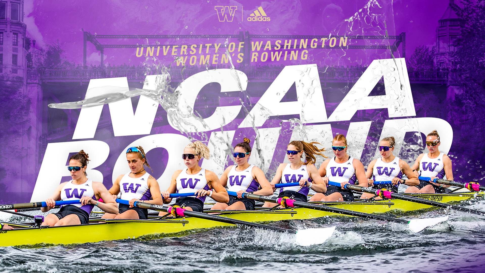 Washington Rowing on Twitter "Washington is headed to the NCAA Rowing