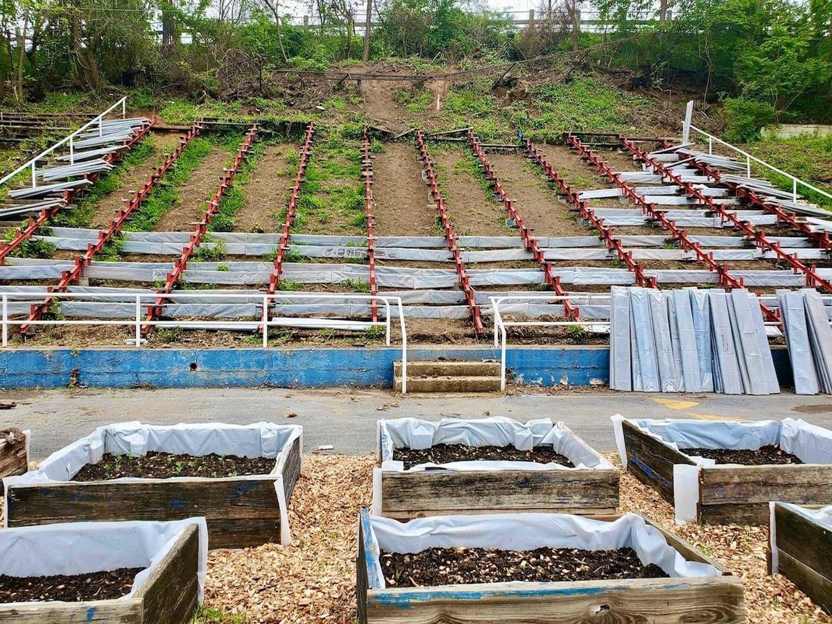 GnazzoPromotion's tweet photo. βΌοΈSomething big is happening in @CityofHbgβΌοΈ A major announcement to be made FRIDAY by @GiantFoodStores @Garry_Gilliam & Empower at The Bridge Fdn. about an investment to convert Hbg.βs food desert into a blossoming food oasis. Stay tuned!
#bleachergardenhbg #HungerPrevention https://t.co/7l6Oc3rTn4