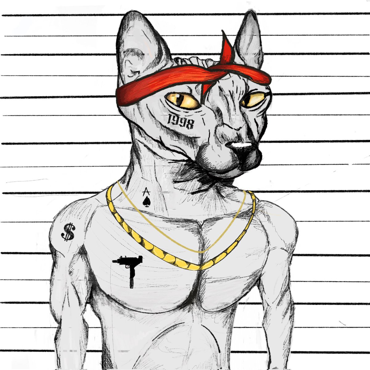 jrvs212's tweet photo. We are getting close to launch our highly anticipated project ,
Mightypuss !!! 
Stay tuned 
#NFTCommunity 
#nftart 
#NFT https://t.co/fv8QIkRLIZ