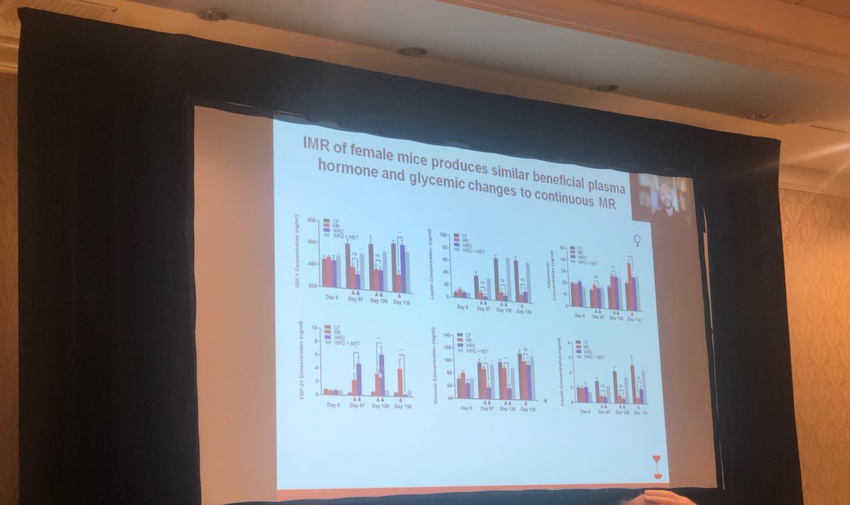 Mireya Vazquez-Prada π΅π (@mvazquezprada1) on Twitter photo great talk by Jay Johnson on how intermittent methionine restriction has same (or better) effects than continuousβ¦ proving my favourite Oscar Wilde quote: βEverything in moderation, including moderation.β π π₯©π #AGE2022
thanks so much to <a href="/BSRAgeing/">British Society for Research on Ageing</a> for this opportunity! great talk by Jay Johnson on how intermittent methionine restriction has same (or better) effects than continuousβ¦ proving my favourite Oscar Wilde quote: βEverything in moderation, including moderation.β π π₯©π #AGE2022
thanks so much to <a href="/BSRAgeing/">British Society for Research on Ageing</a> for this opportunity!