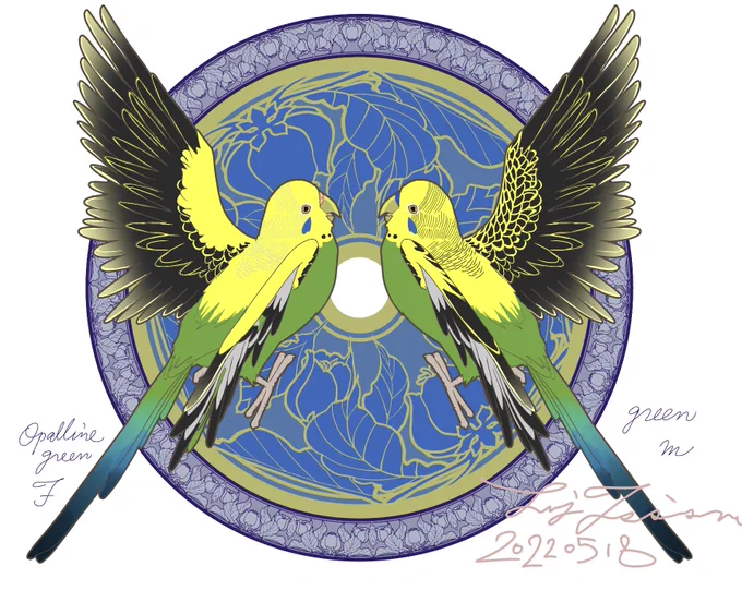 おはようございます晴れの名古屋です。朝早く目が覚めたので久しぶりにセキセイインコ描いてみましたやっぱり鳥が好きだ現在今日の退院で準備を進めています。まだ流動食ですが、自宅で段階追って回復させる段取りです。なんとか全快まで無理なく行きます 