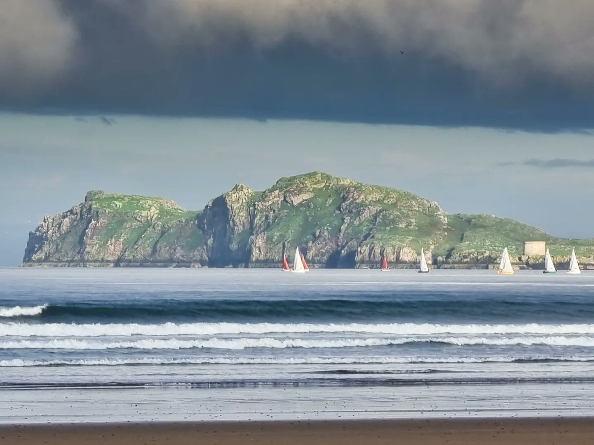 Emma McArdle | Ireland 🇮🇪 tweet media